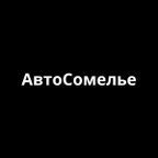 Автосомелье
