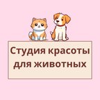 Студия красоты для животных