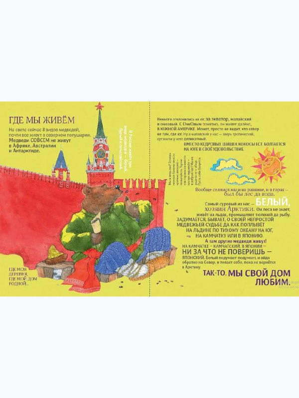 Чем хороши медведи