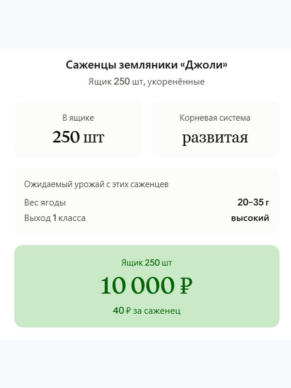 Саженцы Земляники "Джоли" — 250 шт