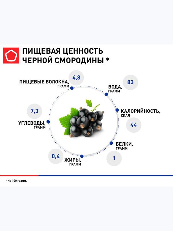 🫐 Свежая черная смородина из собственного хозяйства «Клубника Шаран» — крупная, ароматная и сочная! Ручной сбор перед отправкой, фасовка от 200 г до опта. Для семьи, заготовок и бизнеса. От 400 ₽/кг.