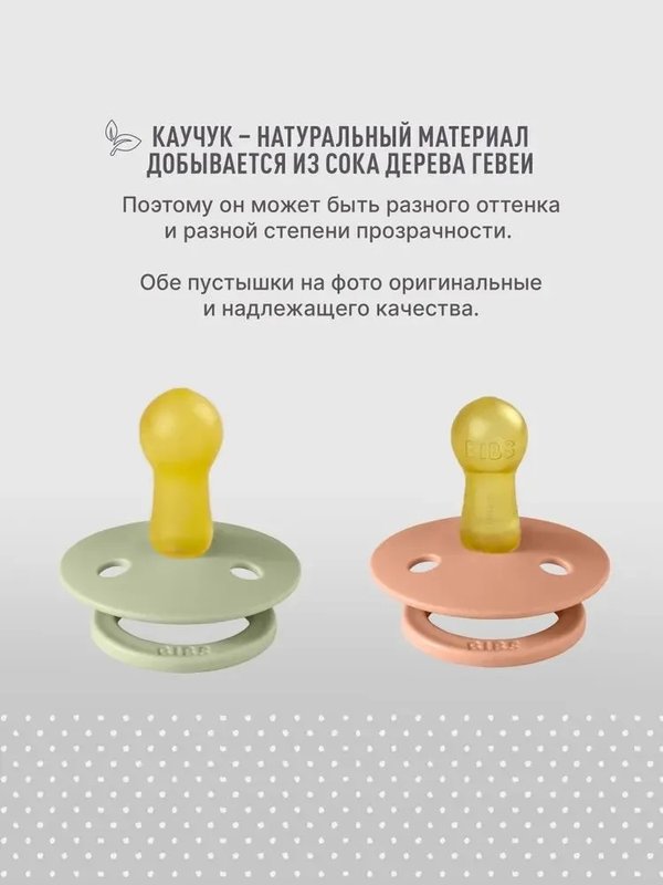 Пустышка латексная BIBS Studio Colour Ladybug - Sage 18-36 мес