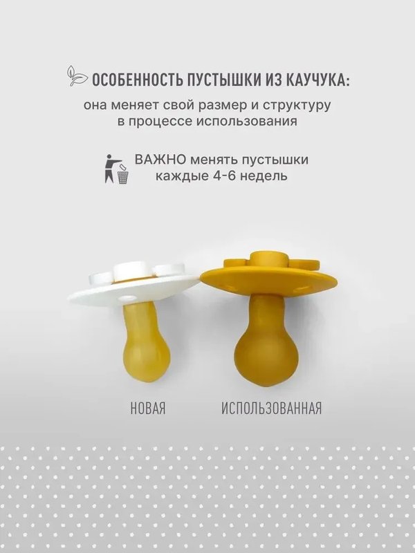 Пустышка латексная BIBS Studio Colour Ladybug - Sage 18-36 мес