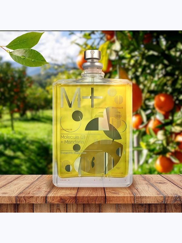 M-041 по мотивам Escentric Molecules 01+ Mandarin (unisex)
