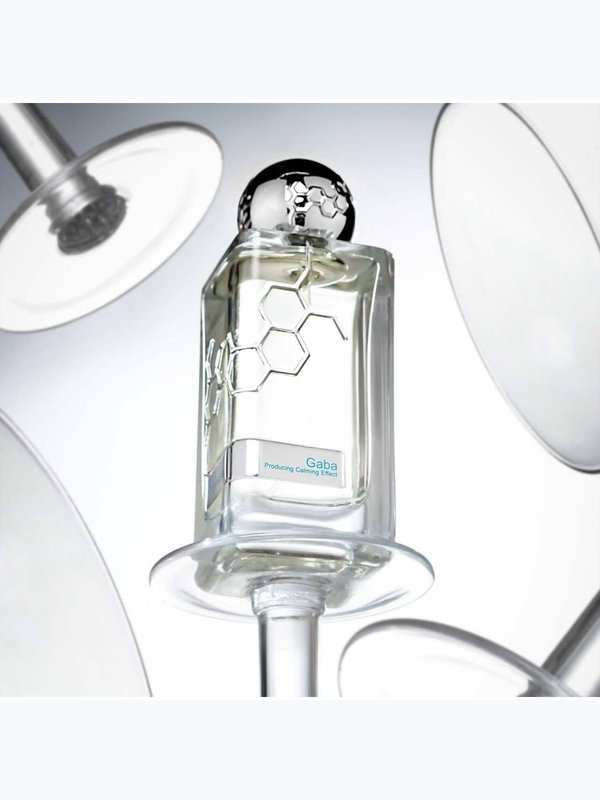 H-006 по мотивам Hormone Paris Gaba  (unisex)