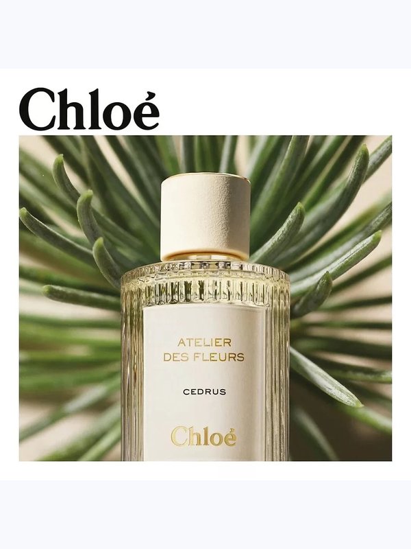 C-025 по мотивам Cedrus Chloé (unisex)