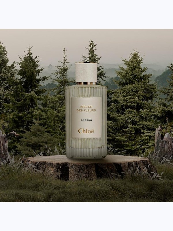 C-025 по мотивам Cedrus Chloé (unisex)