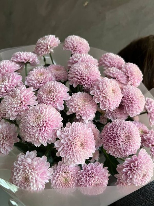 7 💕веточек розовых сантини Элисон Свит