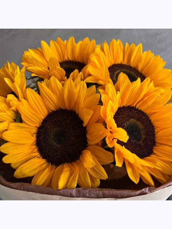 5 🌻ярких подсолнухов в крафте