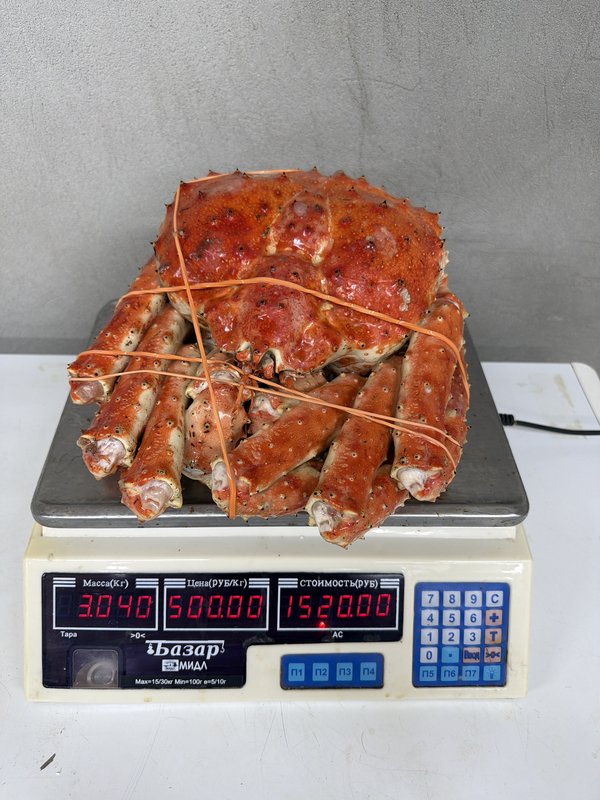 Целый Камчатский краб 🦀🎁