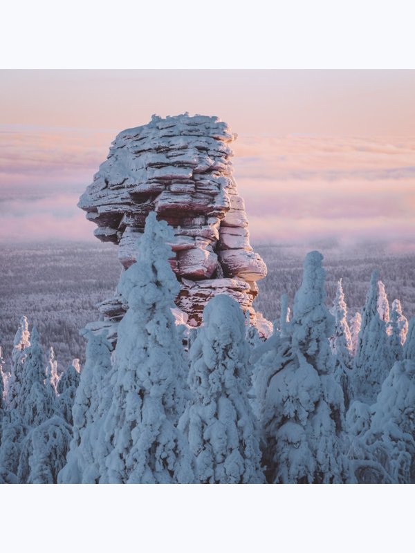 3 января. Помяненный. Каменный дракон Пармы