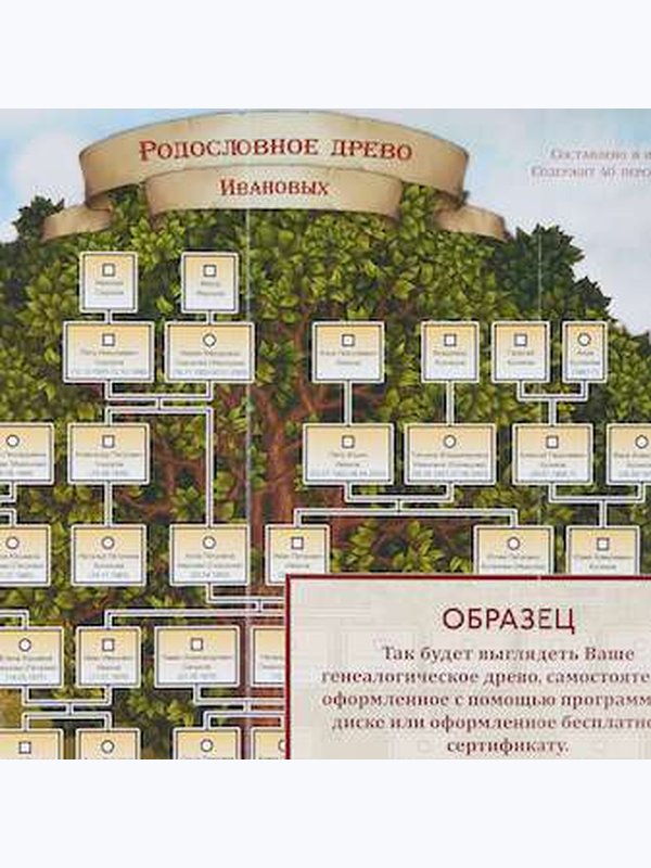 Родословная книга Изысканная