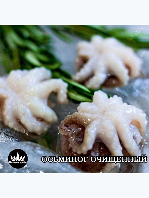 Осминожки сыро-мороженные, 40-60шт в 1кг