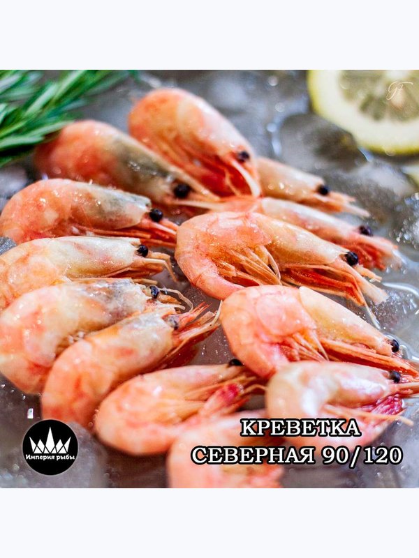 Северна