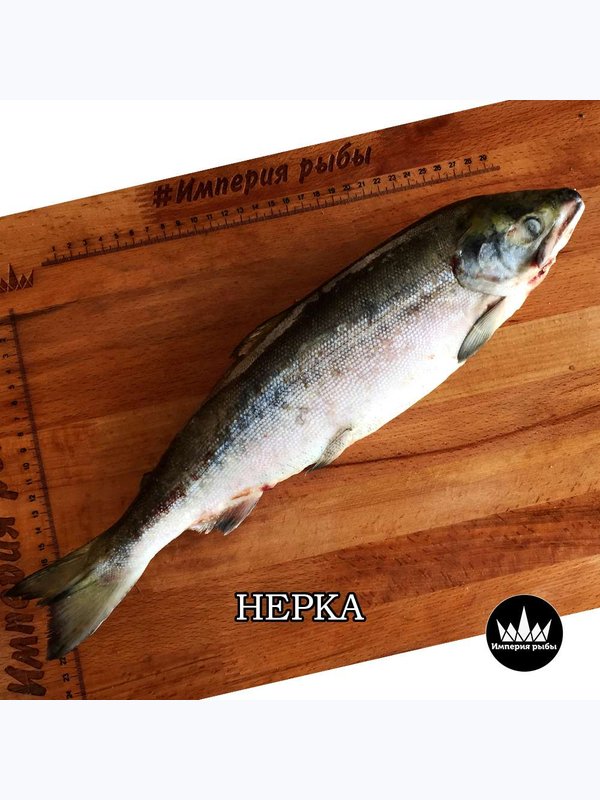 Нерка, дикая свежего улова