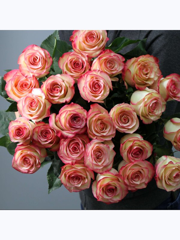 Роза Микс