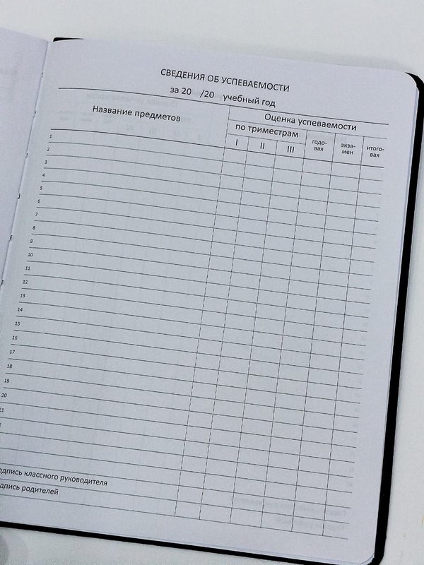 Дневник 1-11 кл "Я не хочу портить ваш вопрос" искусственная кожа deVente кк 49958