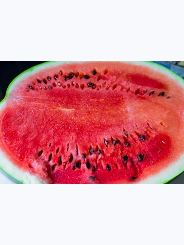 WHOLE Watermelon Uzbekistan