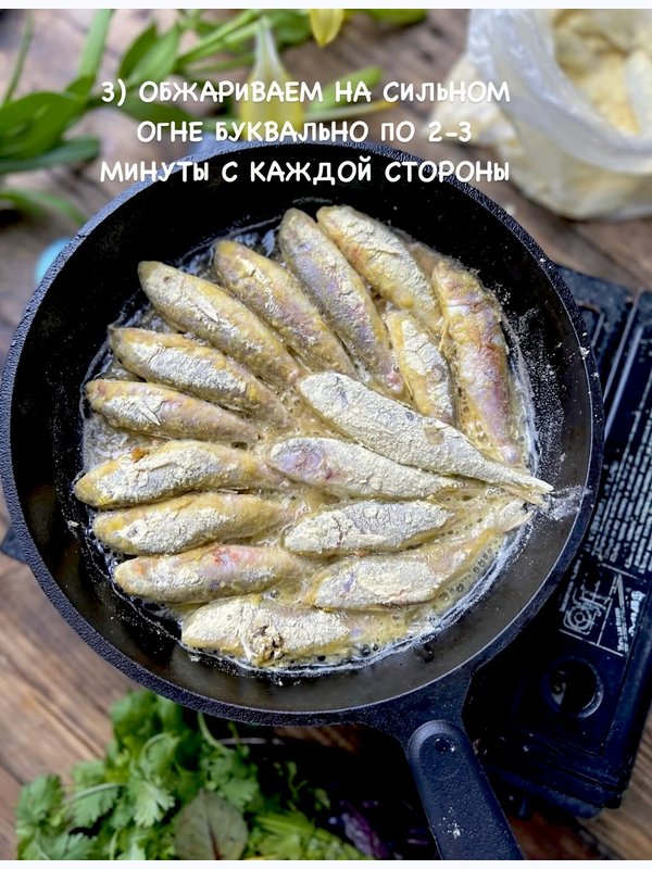 БАРАБУЛЬКА черноморская
