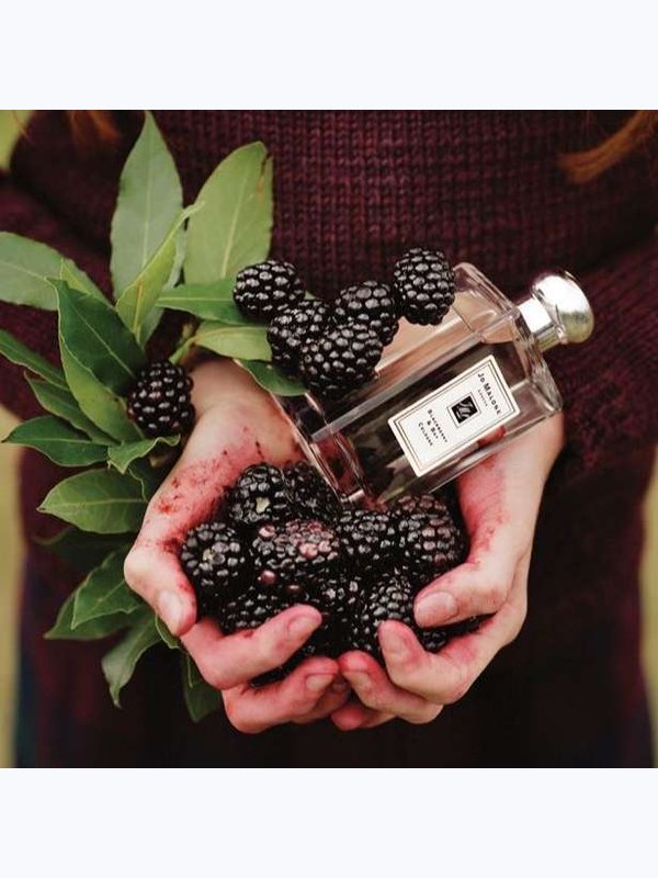 Jo Malone Blackberry & Bay для женщин Одеколон