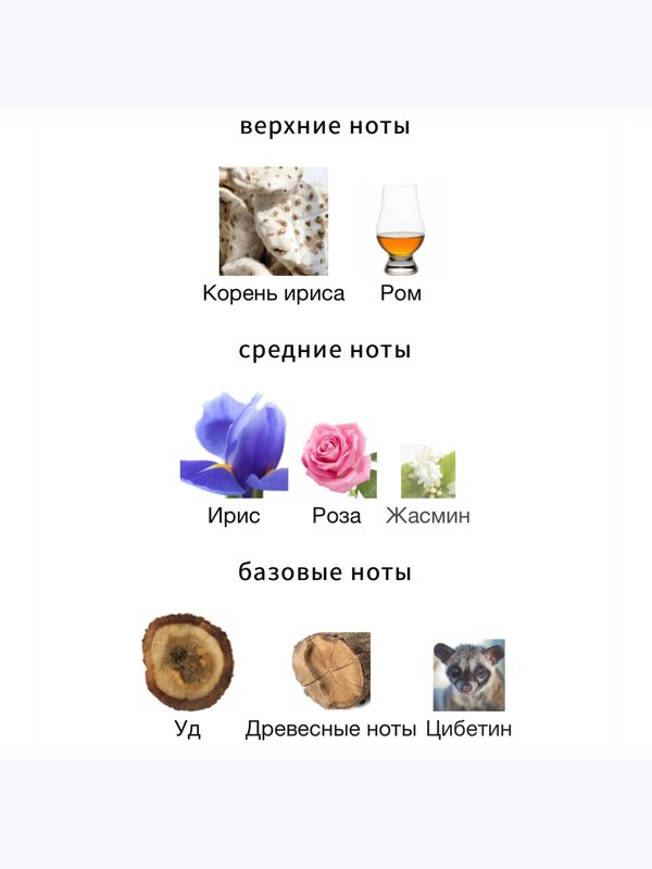 Amouage The Library Collection Opus V унисекс Парфюмерная вода