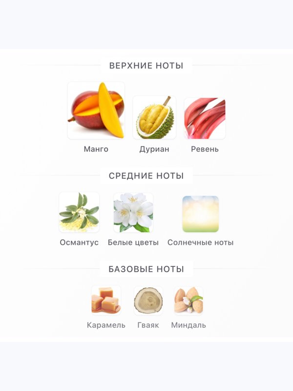 BORNTOSTANDOUT Gold Juice унисекс Парфюмерная вода