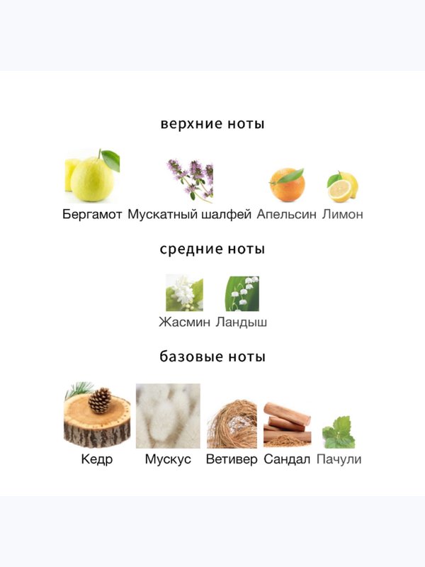 Shaik Chic Shaik No 70 для мужчин Парфюмерная вода
