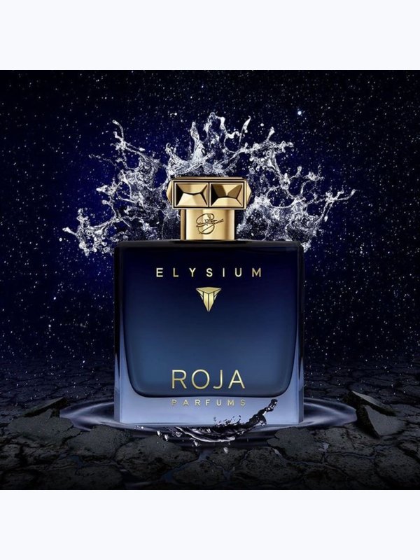 Roja Elysium Pour Homme для мужчин Парфюмерная вода