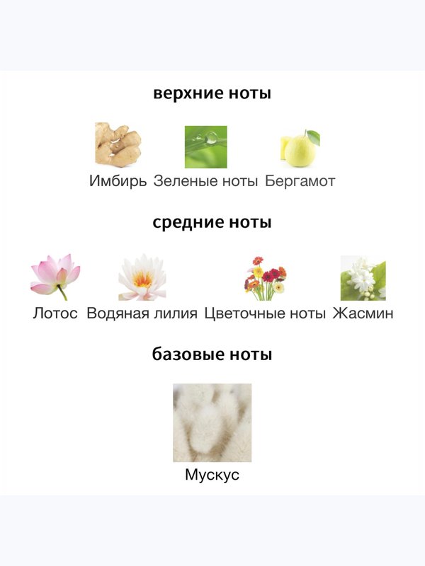 Ramon Molvizar Musk Oriental Goldskin для женщин Парфюмерная вода