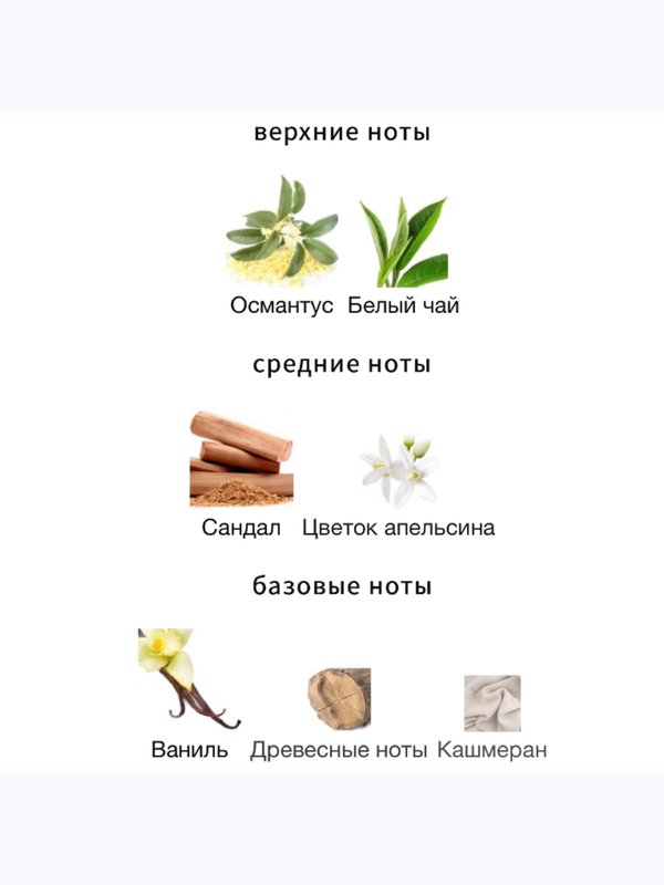HFC Devil`s Intrigue для женщин Парфюмерная вода