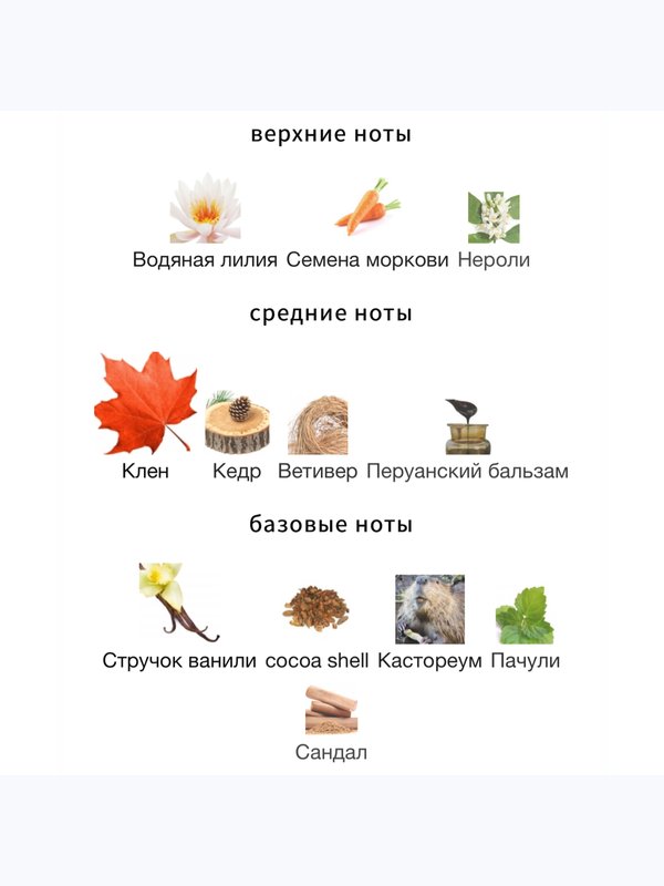 Zoologist Perfumes Beaver Maple Edition унисекс Парфюмерная вода