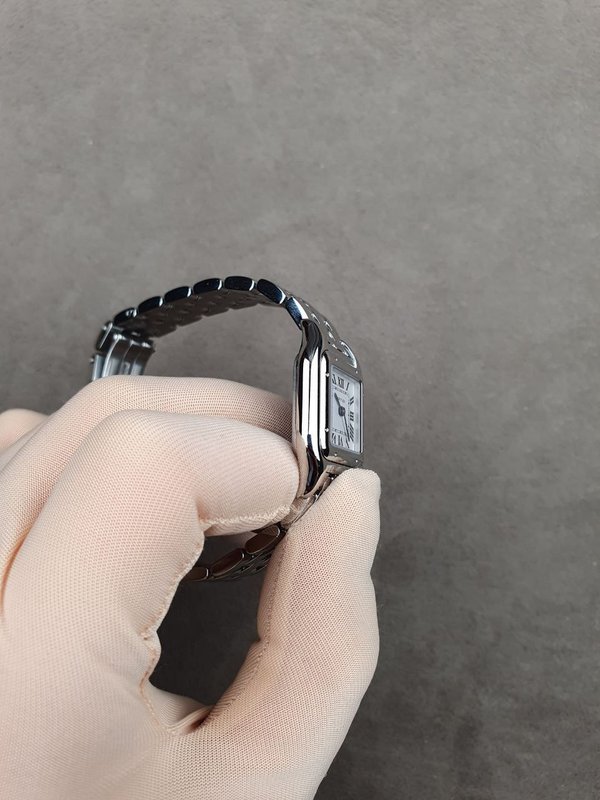 Cartier Panthère de Cartier small