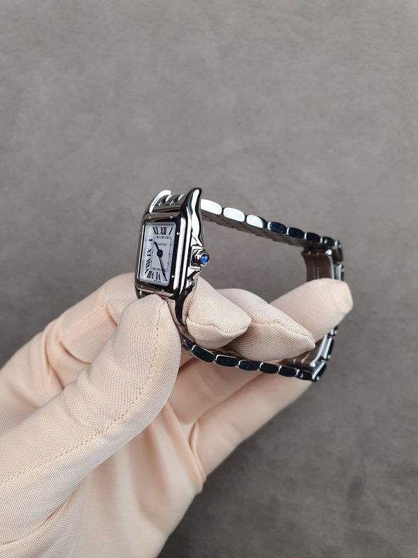 Cartier Panthère de Cartier small