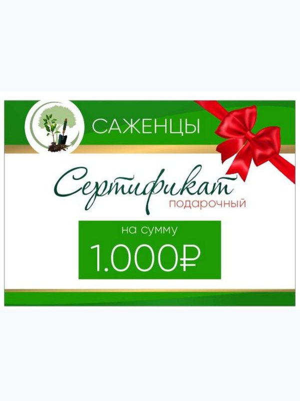ПОДАРОЧНЫЕ  СЕРТИФИКАТЫ