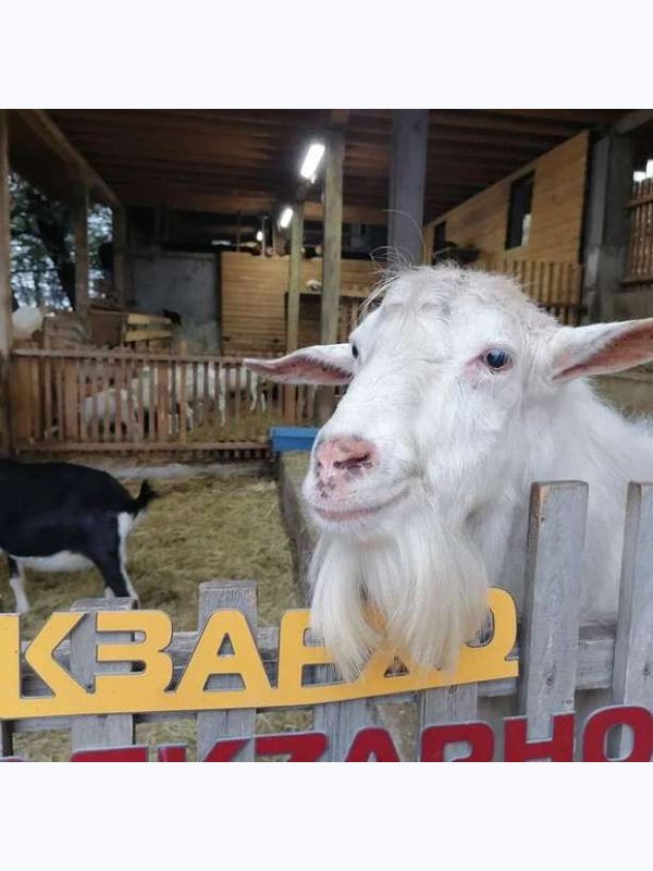 ЭКОТУР В ДОЛИНУ МАЦЕСТА 14-20.00 чт, вс