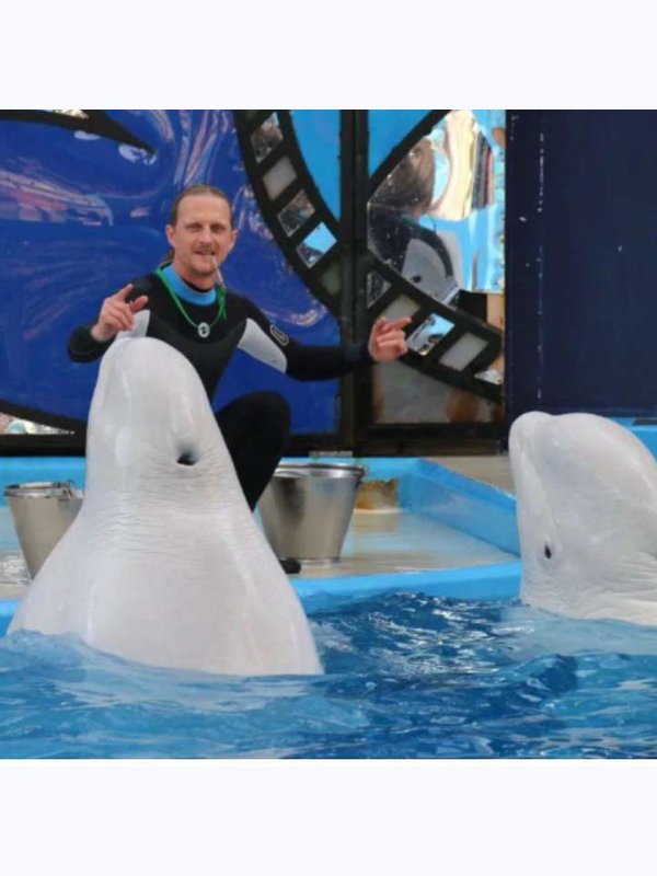🐬ДЕЛЬФИНАРИЙ РИВЬЕРА🐳
