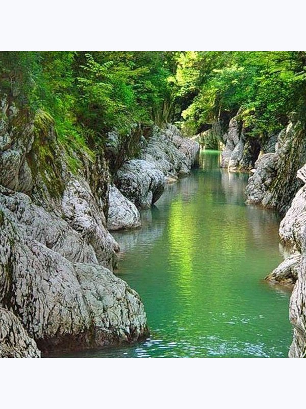 🤩 Прогулки на сапах (SAP досках)