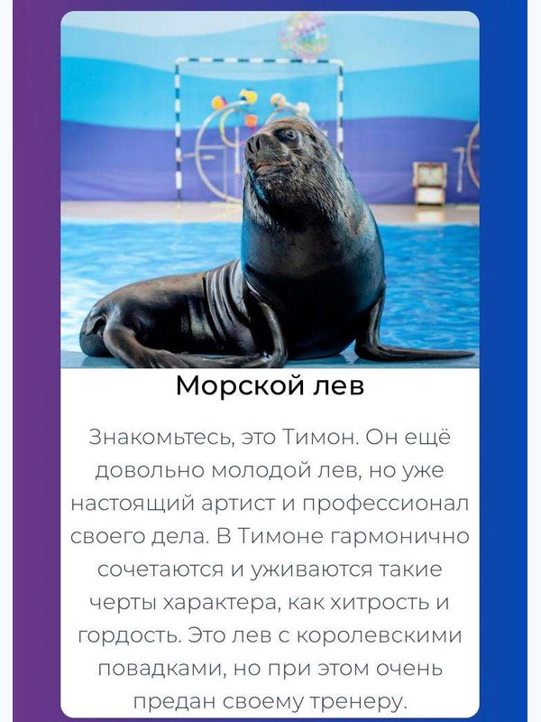 🐬ДЕЛЬФИНАРИЙ РИВЬЕРА🐳