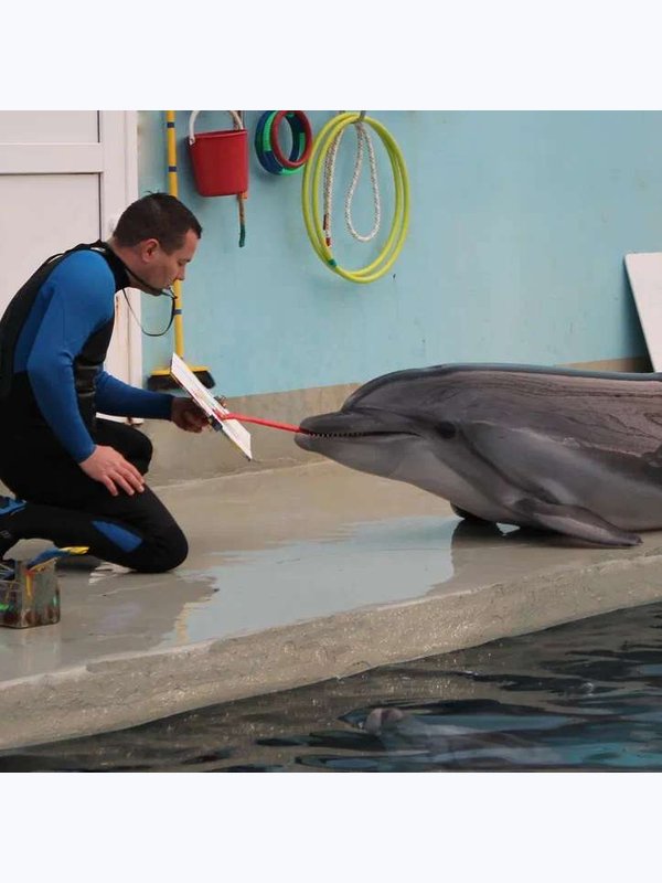 🚍 Дельфинарий в   Кисловодске 🐬.