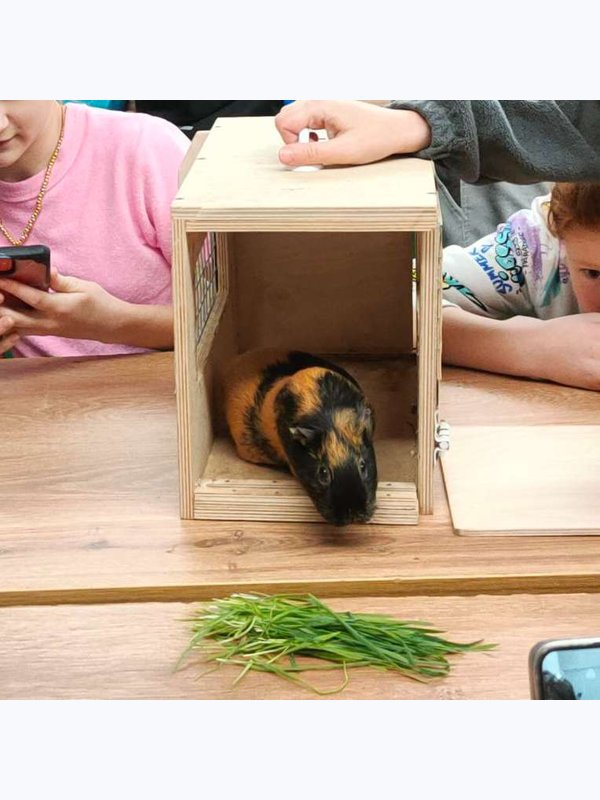 В поисках капибары