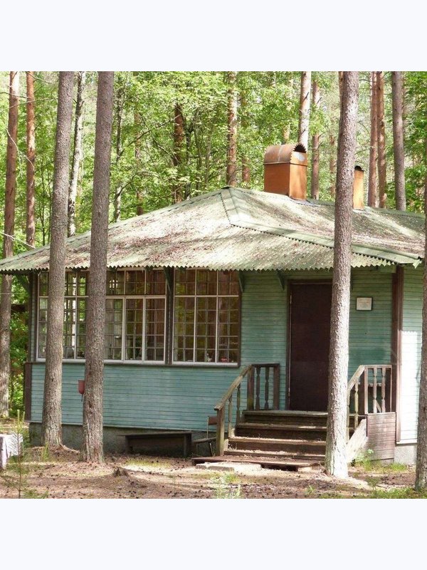 Волшебные тайны русского языка и тайные коды мировой культуры (Комарово)