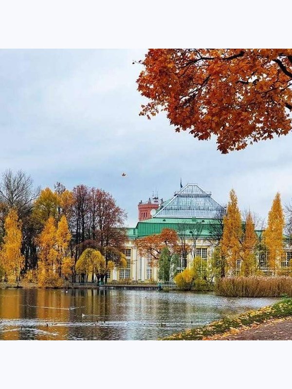 Загадки таврического сада (пешеходная, 1ч 15м)