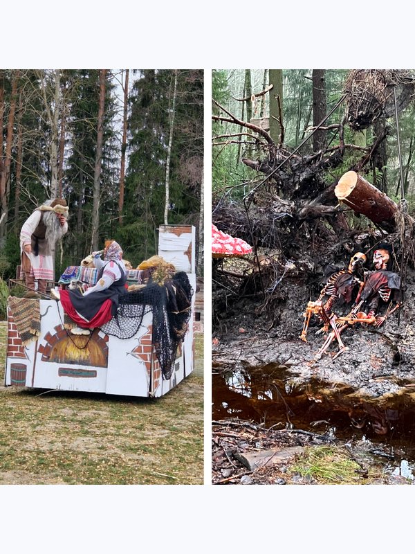 Эксклюзивный ретрит в Конном парке