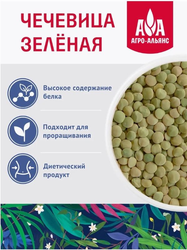 🟢Чечевица зеленая "АА Экстра-2" 450 гр 1/8, шт