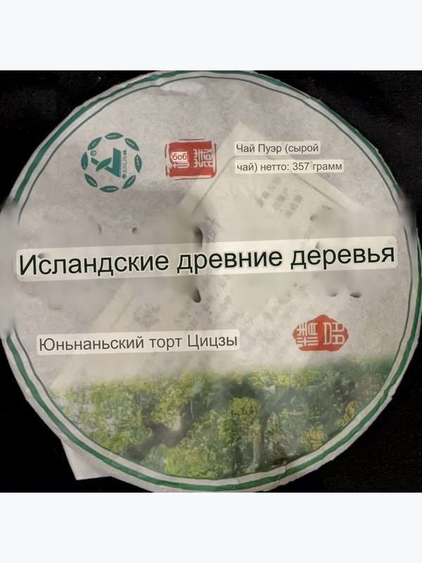 СТАРОЕ ДЕРЕВО ИСЛАНДИИ