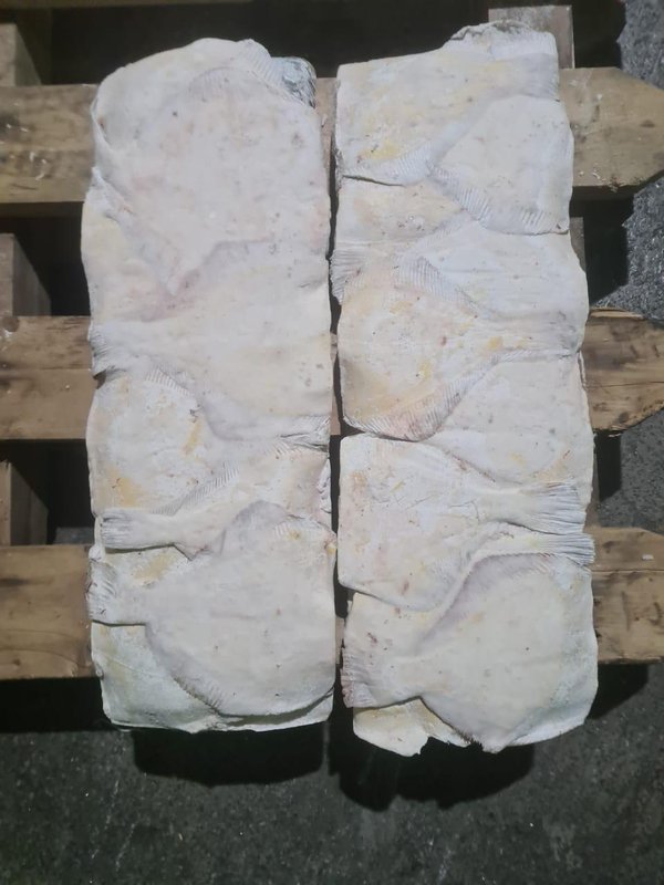 Камбала желтобрюхая