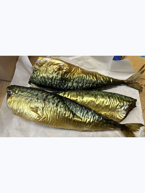 Скумбрия