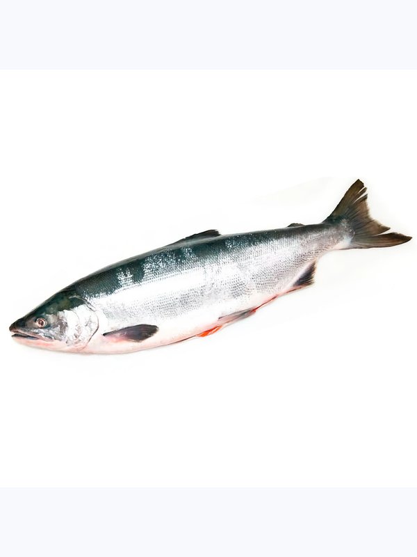 ❗31 июля ❗    🐟 – НЕРКА 2026 потрошеная без головы свежемороженная, морская, Владивосток.  . 🛒Цена: 1100₽/кг.