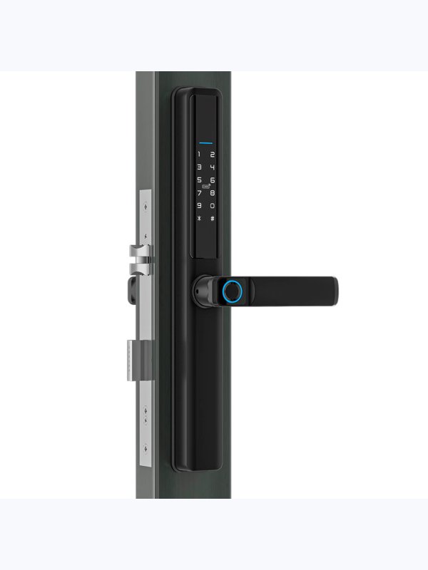 Дверной замок WIFI Ps-Link PS-F5-TY / черный