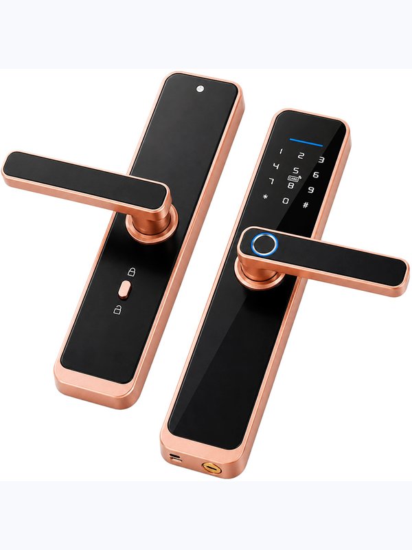 Дверной замок WIFI Ps-Link X2 / Бронза